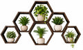 Honeycomb Wall Shelves Set of 6 | Paulownia Wood Hexagon Display Shelves